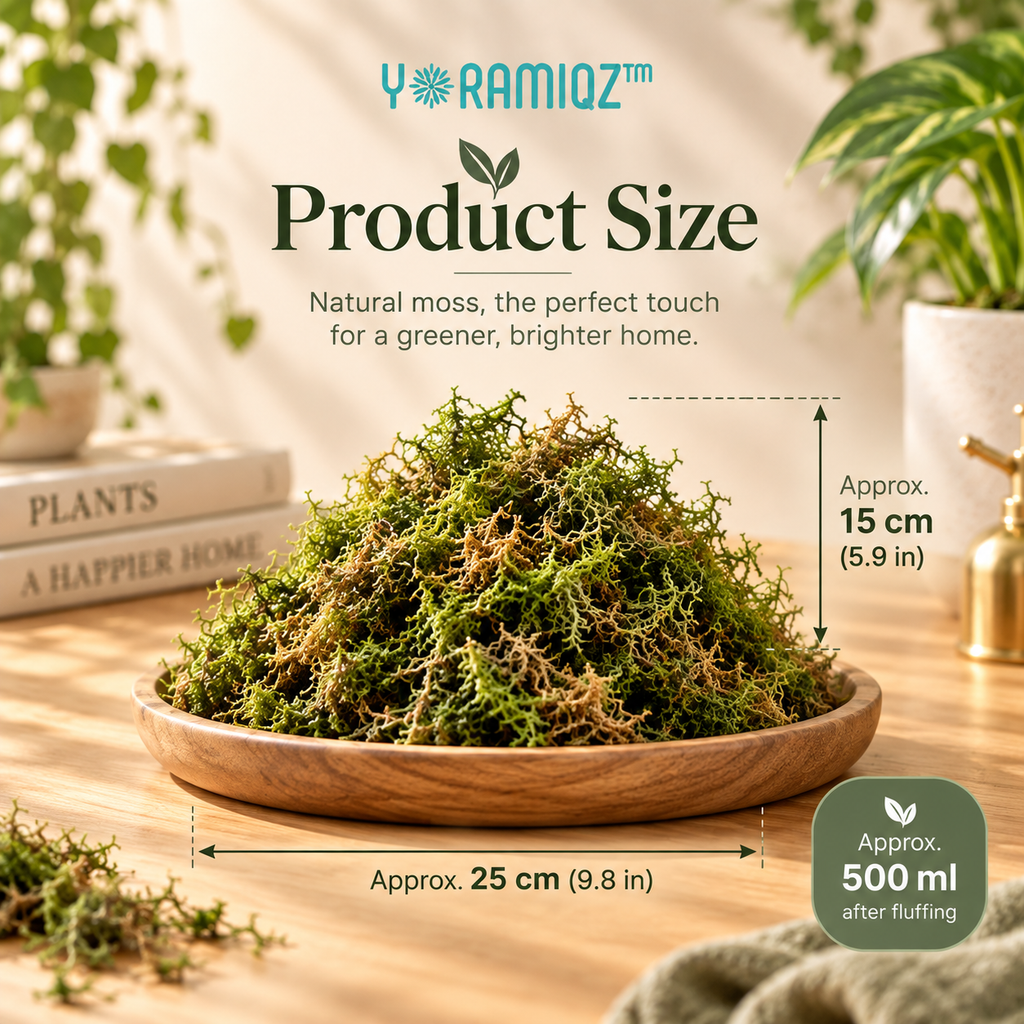 Yoramiqz™ Moss Halo – Decorative Moss Top Dressing for Indoor Planters, Terrariums, Bonsai, Orchids & Houseplant Styling