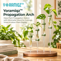 Yoramiqz™ Propagation Arch – Glass Plant Propagation Station with Minimalist Stand for Cuttings, Vines & Indoor Plant Display