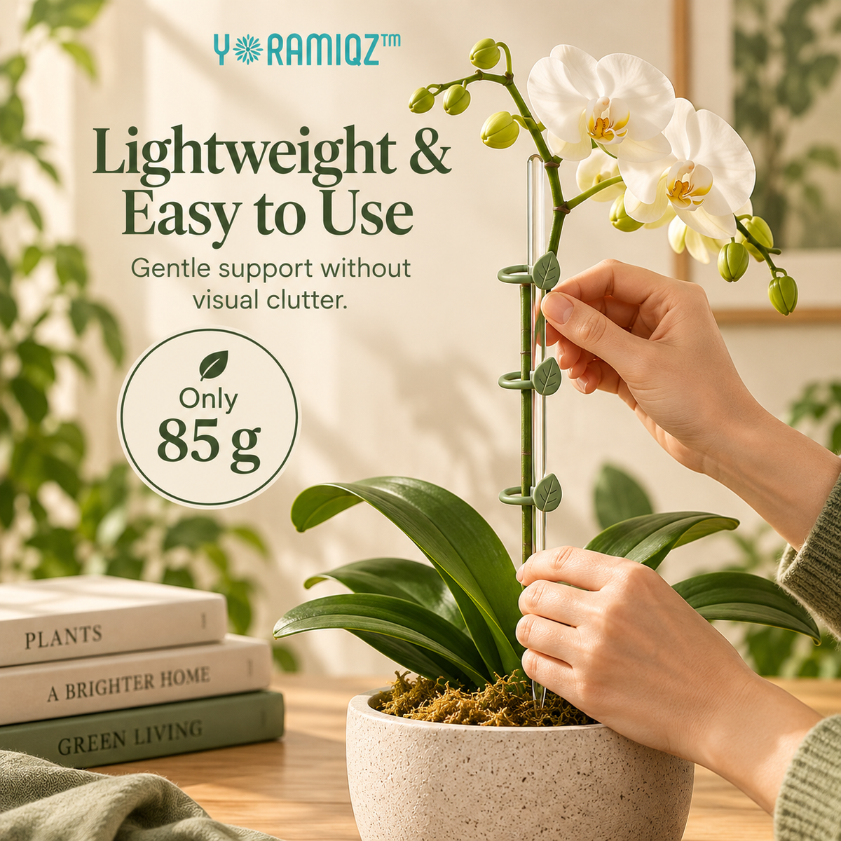 Yoramiqz™ Clarity Stake – Minimalist Plant Support Stakes for Orchids, Monstera, Climbing Houseplants, Vines & Indoor Plants