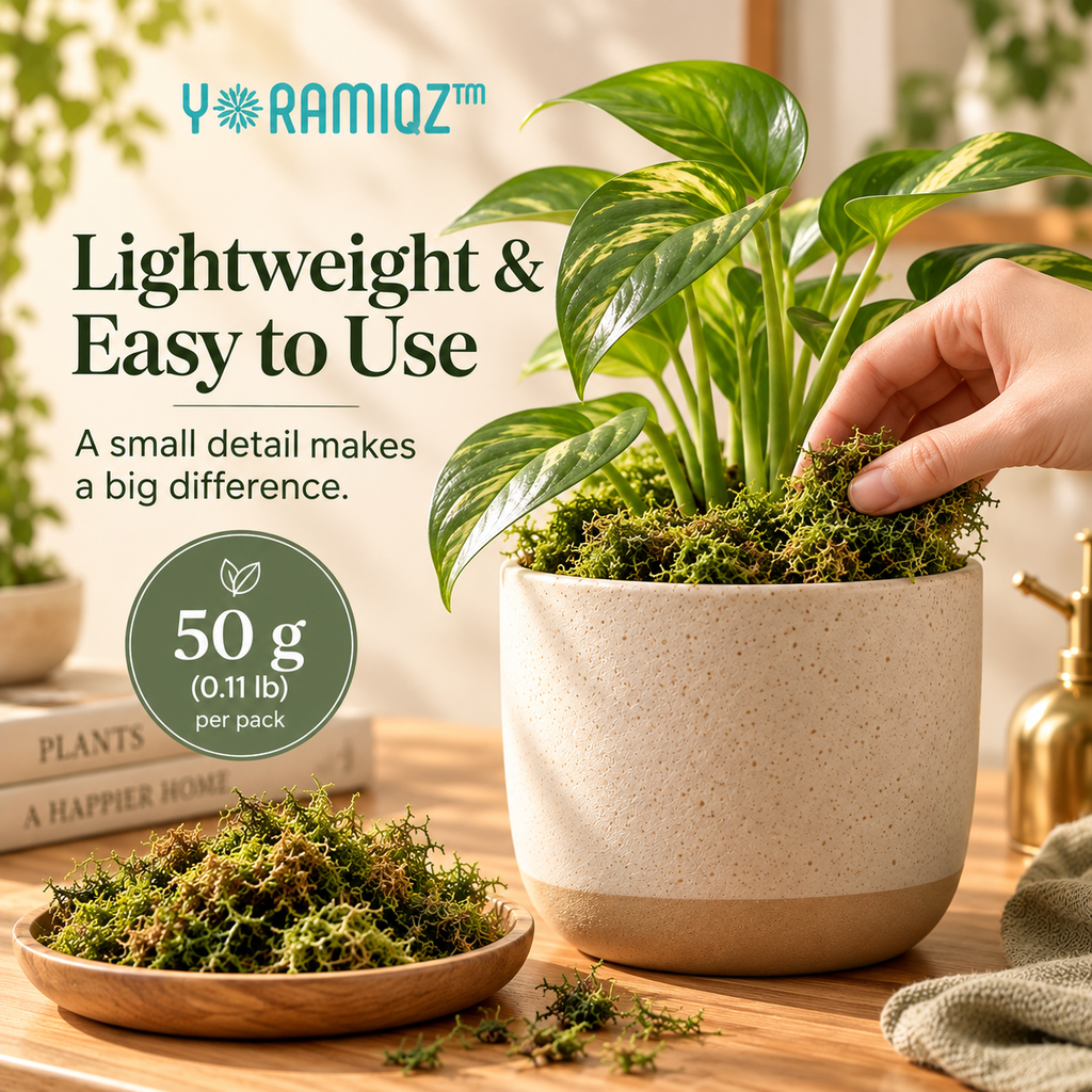 Yoramiqz™ Moss Halo – Decorative Moss Top Dressing for Indoor Planters, Terrariums, Bonsai, Orchids & Houseplant Styling